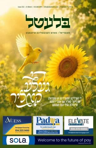 Bletel cover — Naso